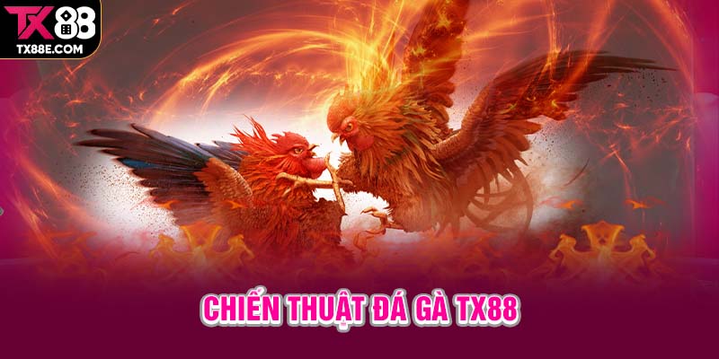 Chiến thuật đá gà TX88