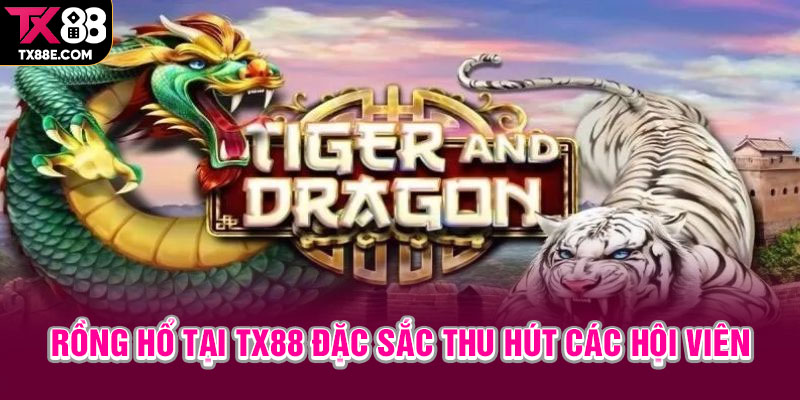 Rồng hổ tại TX88 đặc sắc thu hút các hội viên