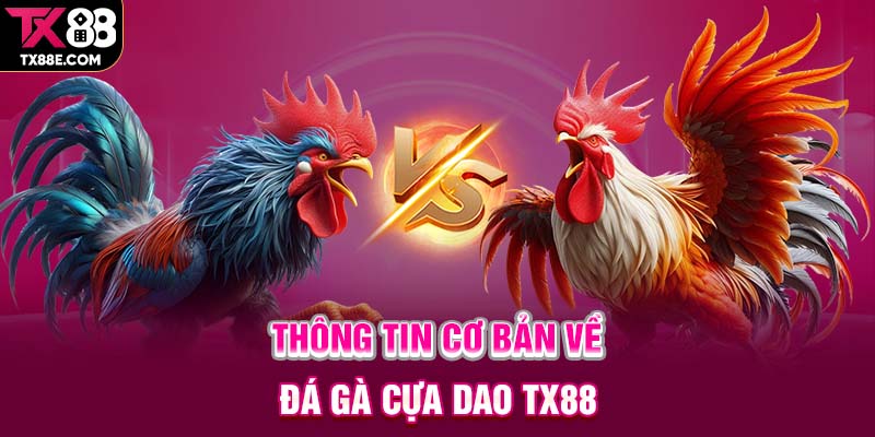 Thông tin cơ bản về đá gà cựa dao TX88 