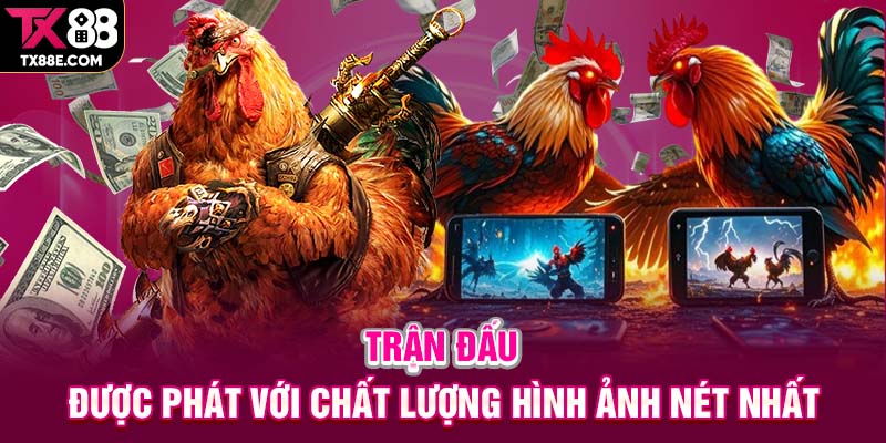 Trận đấu được phát với chất lượng hình ảnh nét nhất