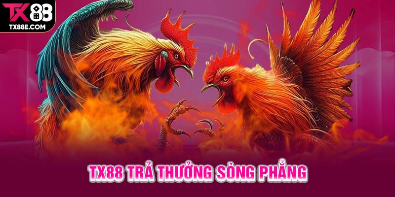 TX88 trả thưởng sòng phẳng