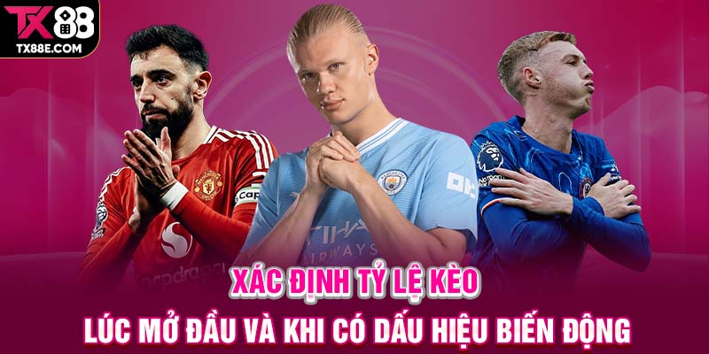 Xác định tỷ lệ kèo lúc mở đầu và khi có dấu hiệu biến động